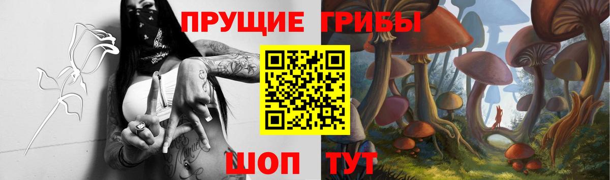 Мичуринск  Галлюциногенные грибы ЛСД  Псилоцибиновые грибы MAGIC MUSHROOMS  Вход с VPN 