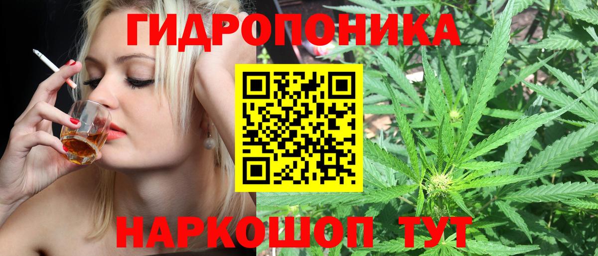 Бошки марихуана индика  Шишки марихуана гибрид  Вход с VPN  Мичуринск 